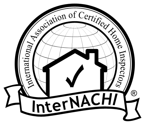 Nachi Logo image